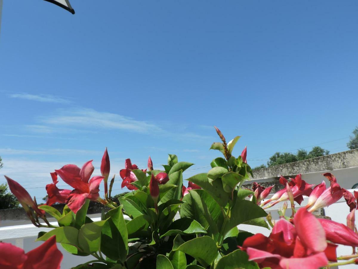 Sogno Mediterraneo Porto Cesareo Extérieur photo